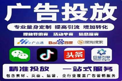 百度推广费用的投入与市场占有率提升的关联案例